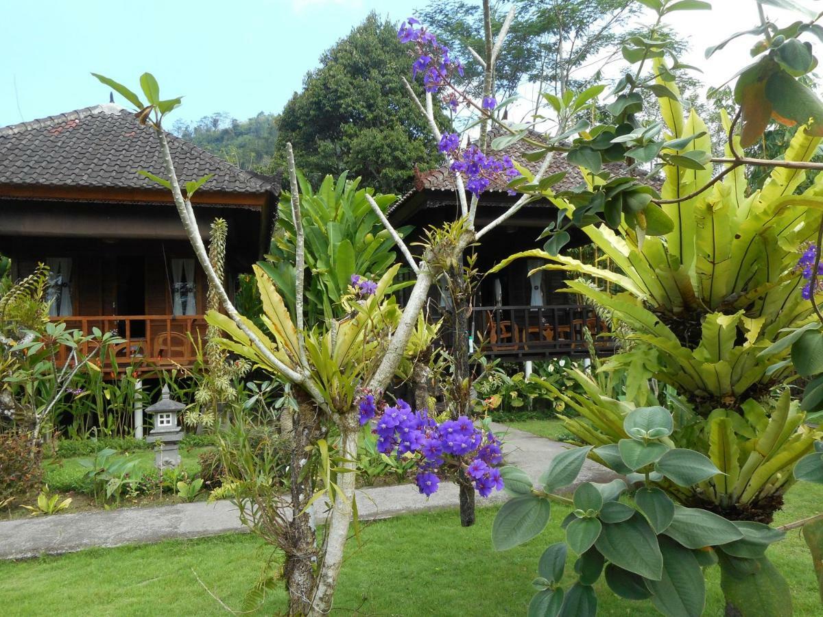 Kubu Alas Tunggal Villa سيديمين المظهر الخارجي الصورة